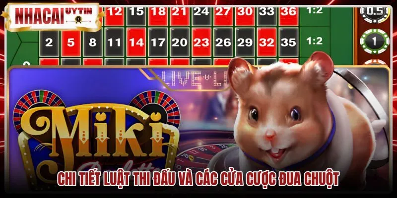 Luật đặt cược và tỷ lệ trả thưởng game Đua chuột