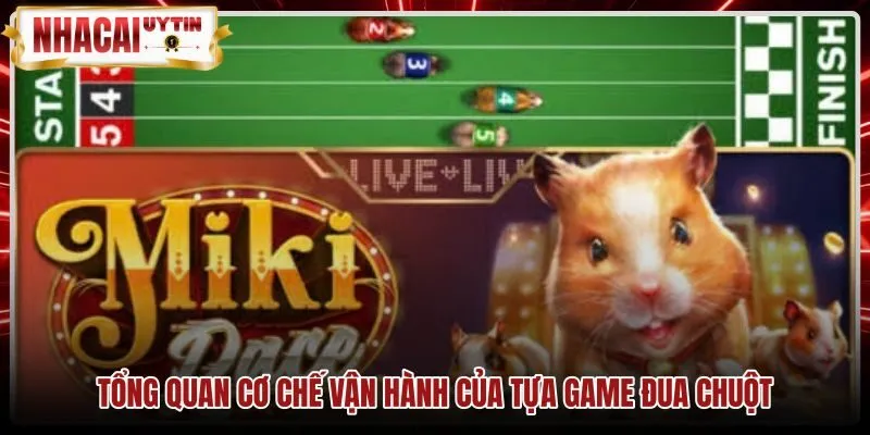 Cơ chế thuật toán ngẫu nhiên trong game Đua chuột